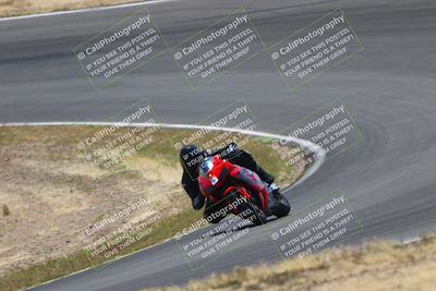 media/Apr-25-2025-2WTD (Fri) [[fab9f350b7]]/B Group/1220pm (Turn 2)/